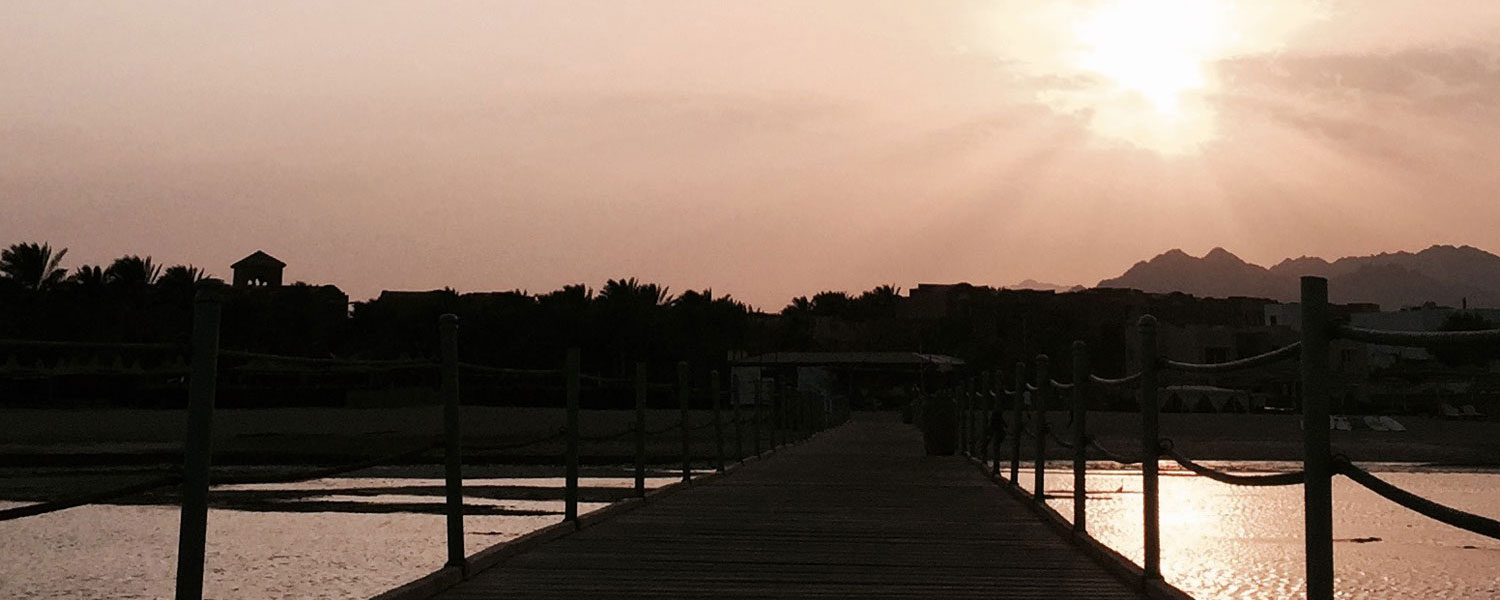 LanguageLink Sprachdienste GmbH