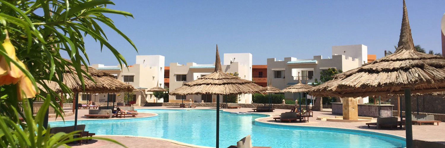 LanguageLink Sprachdienste GmbH