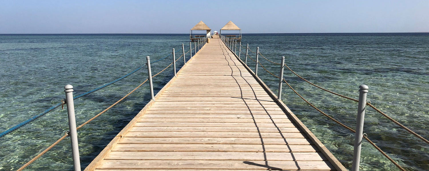 LanguageLink Sprachdienste GmbH