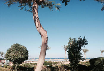 Ferienvilla in Sharm el Sheikh