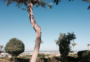 Ferienvilla in Sharm el sheikh